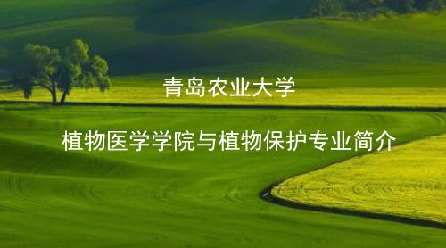 伟德植物保护专业介绍